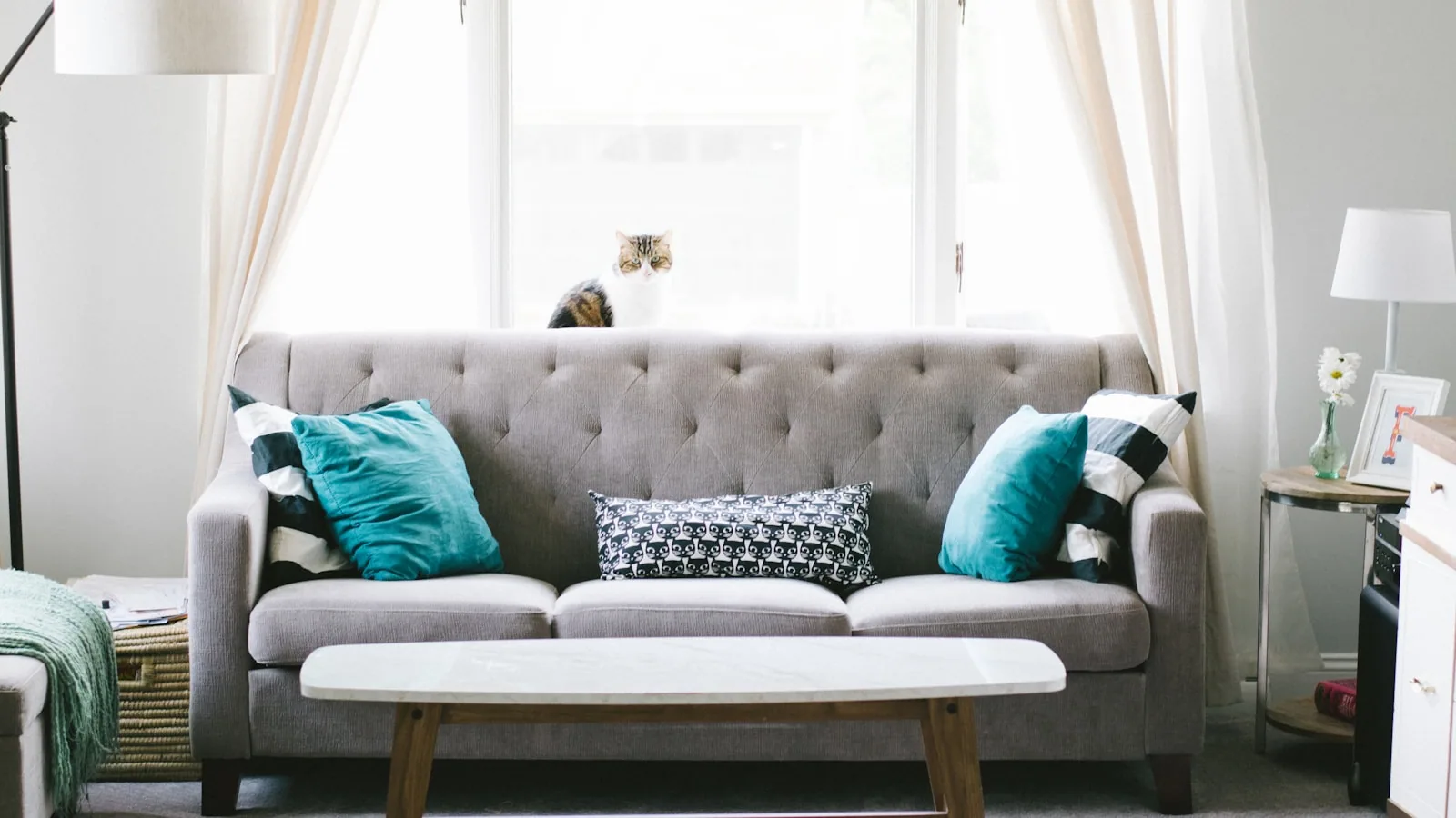 Living room with a beautiful dark blue accent wall