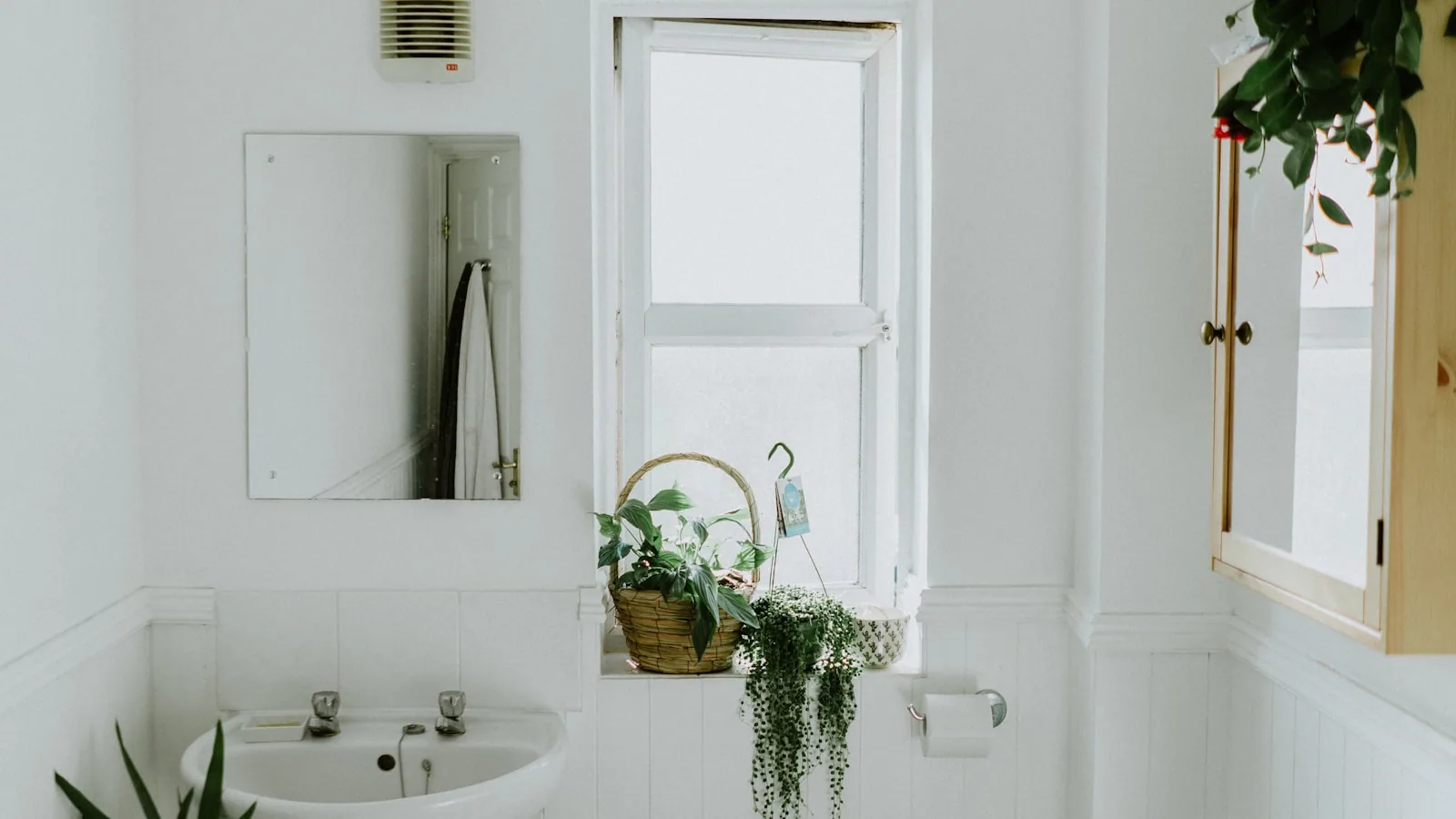 Modern bathroom with freshly painted walls